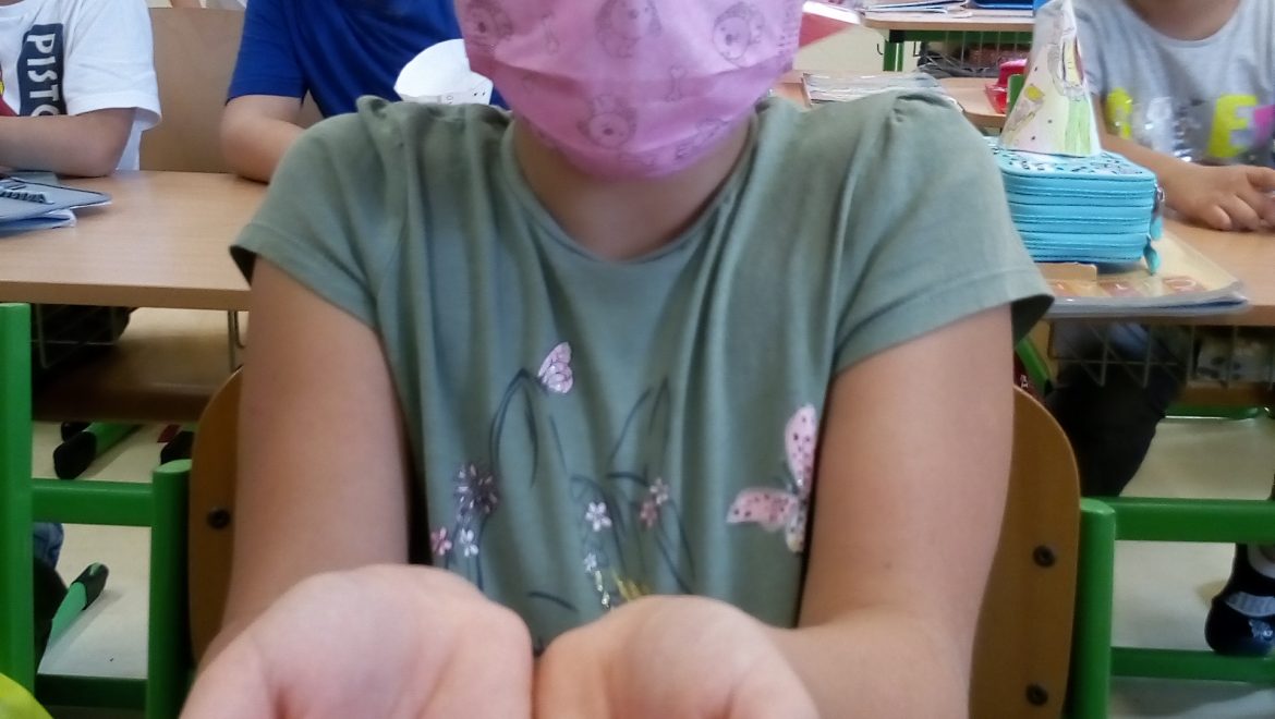 Zážitkové vyučovanie – pestovanie rajčín