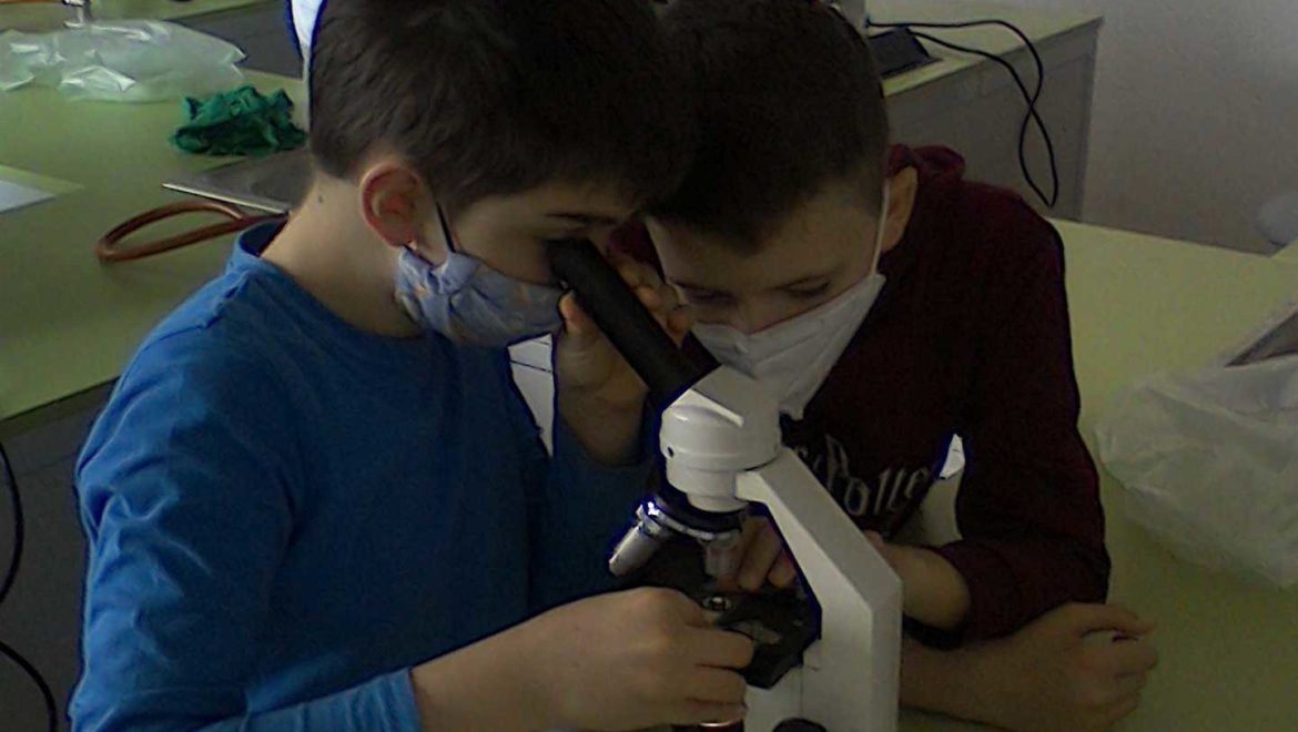 Podporujeme mladých bádateľov